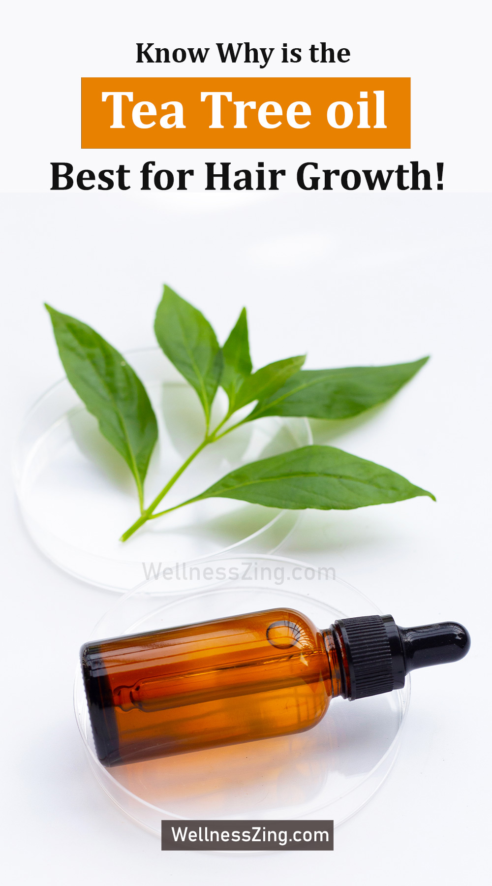 Why is the Tea Tree oil Best for Hair Growth?