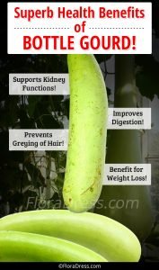Superb Health Benefits of Bottle Gourd