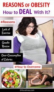 obesity Reasons-and-solutions