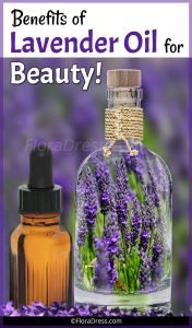Benefits of Lavender Oil for Beauty