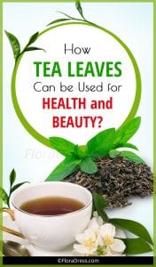 How Tea Leaves Can be Used for Health and Beauty?