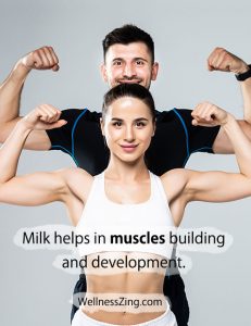 Milk Helps in Muscle Development