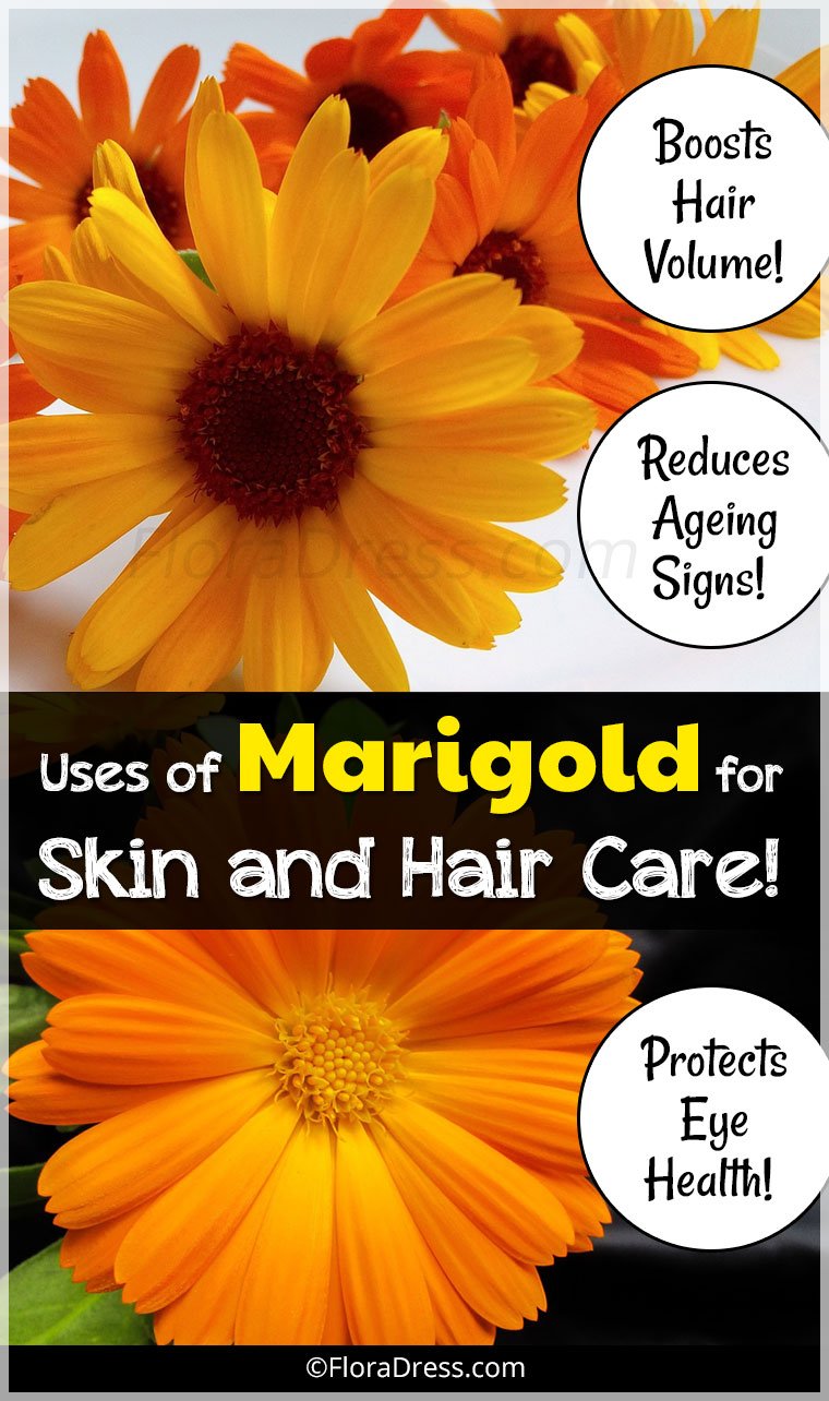 Uses of Marigold for Skin and Hair Care