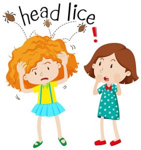 Remove Lice from Hair using Home Remedies