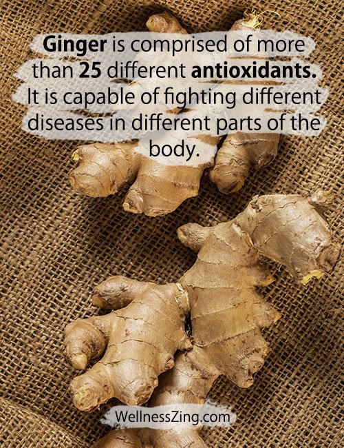Ginger contains more than 25 types of antioxidants