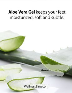 Aloe Vera gel is Good for Moisturizing Feet