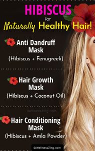 Hibiscus Hair Care Recipes