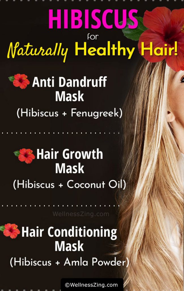 Hibiscus for Hair Hibiscus Hair Mask Recipes for Dandruff Removal