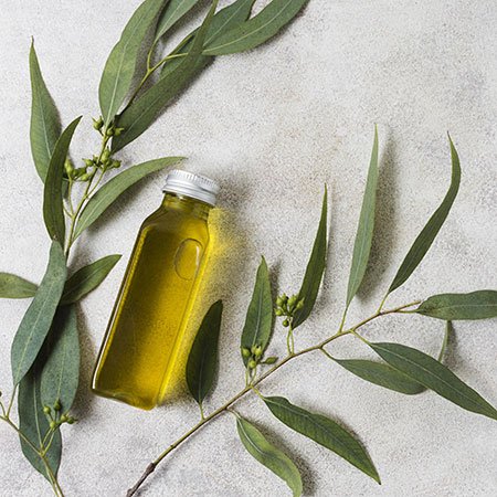 Olive Oil for Eyelashes Growth