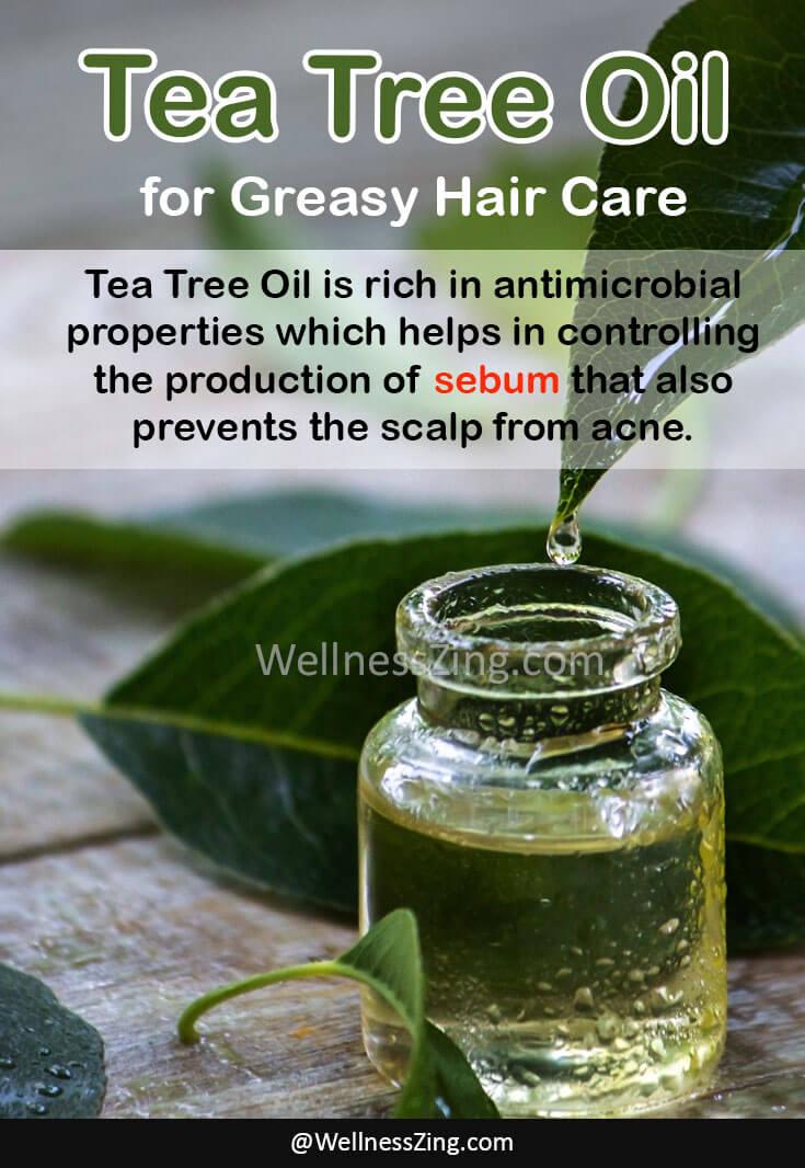 Using Tea Tree Oil for Greasy Hair Care