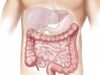 Colon Cleanse : Why Do You Really Need to Clean Your Colon?