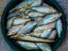 Health Benefits of Sardines : Why You Should Eat Them?