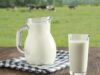 Buffalo Milk : Why Should You Consume Milk of Buffalo