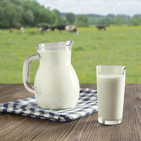 Buffalo Milk Benefits for Health