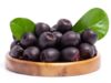 Jamun or Black Plum – How Does It Help to Boost Immunity?