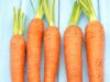 How Carrot Seed Oil Helps in Revitalizing the Skin?