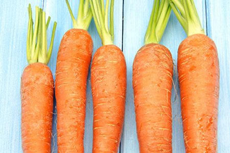 Carrot Seed Oil Benefits