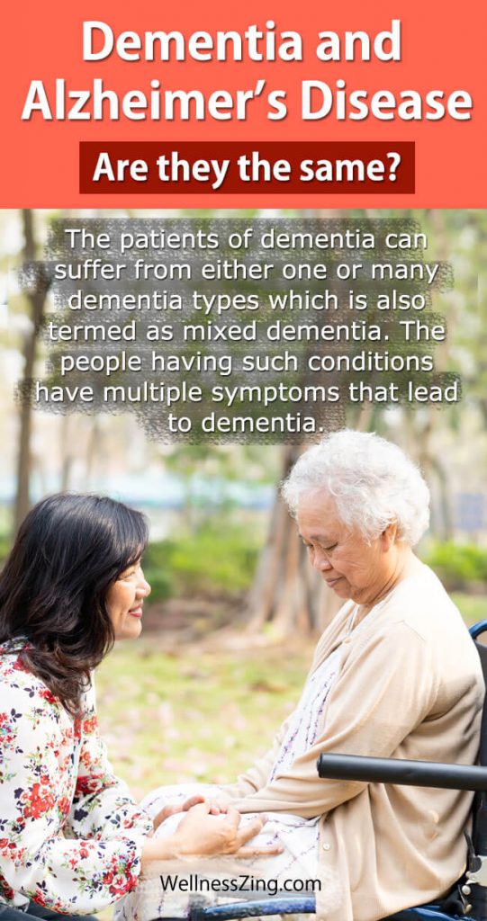 What is the difference Between Dementia and Alzheimers Disease?