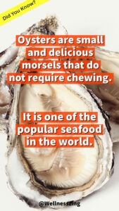 Oyster is a Popular Seafood