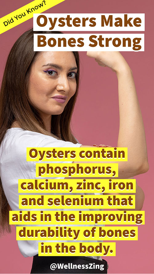 Oysters Contain Calcium for Stronger Bones