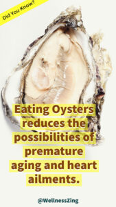 Oysters Slow Down Ageing
