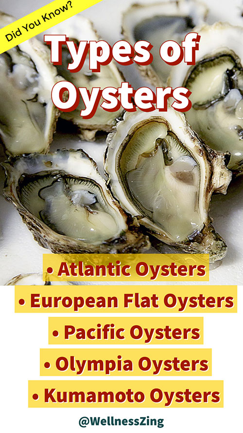 Types of Oysters