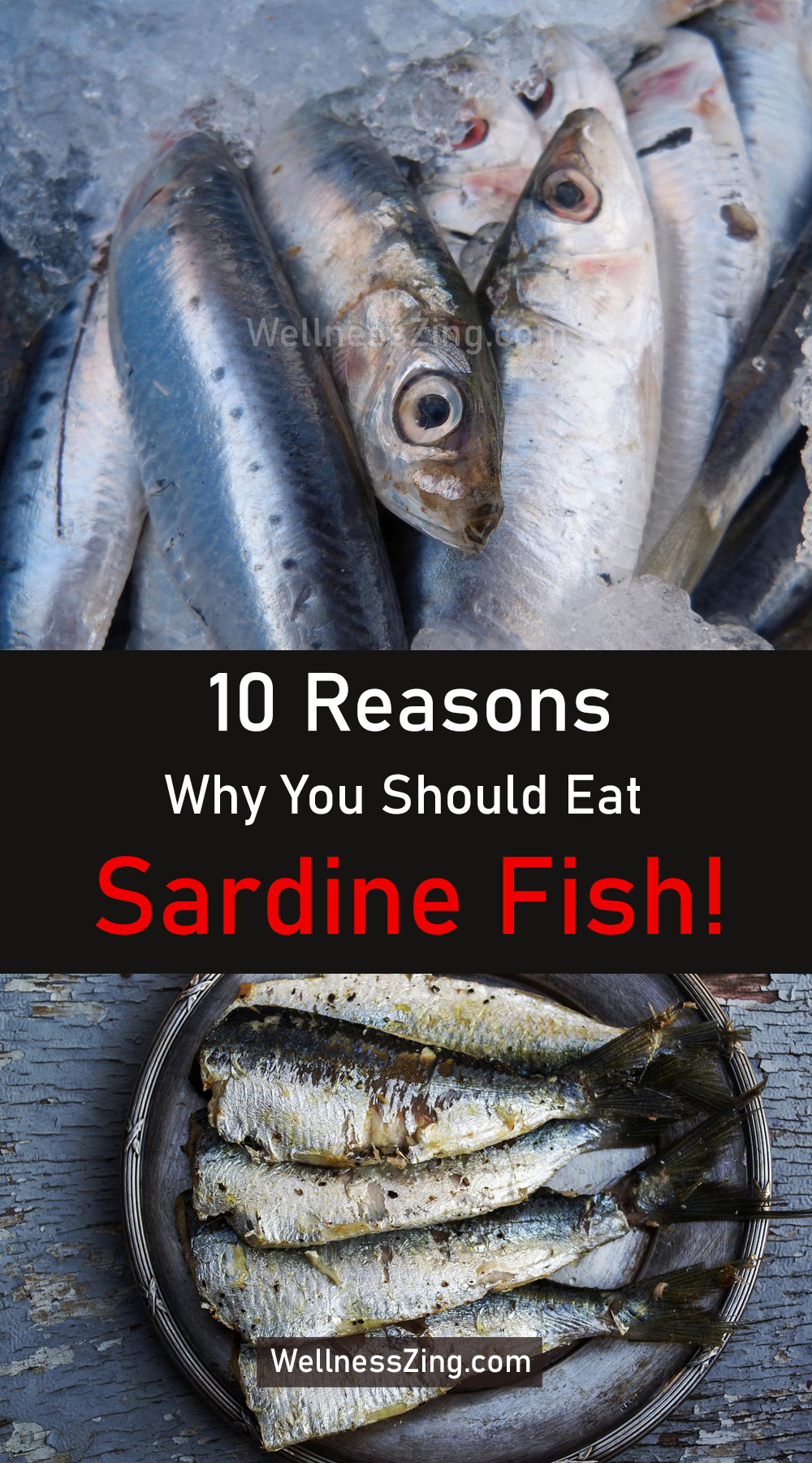 Benefits of Eating Sardine Fish for Better Health