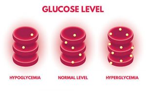 Glucose Levels in Blood - Hypoglycemia and Hyperglycemia