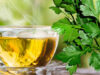 Nutrition, Benefits and Uses Of Parsley Tea