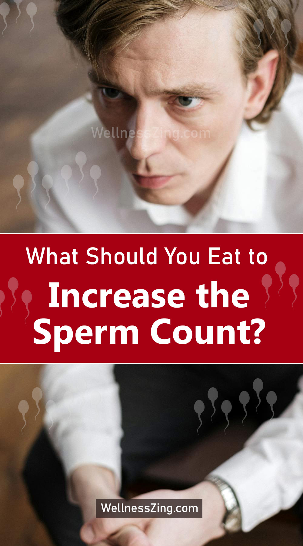 What is the sperm count increase food?