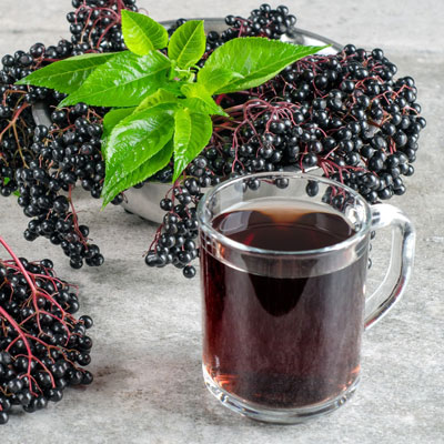 Elderberry Syrup Benefits
